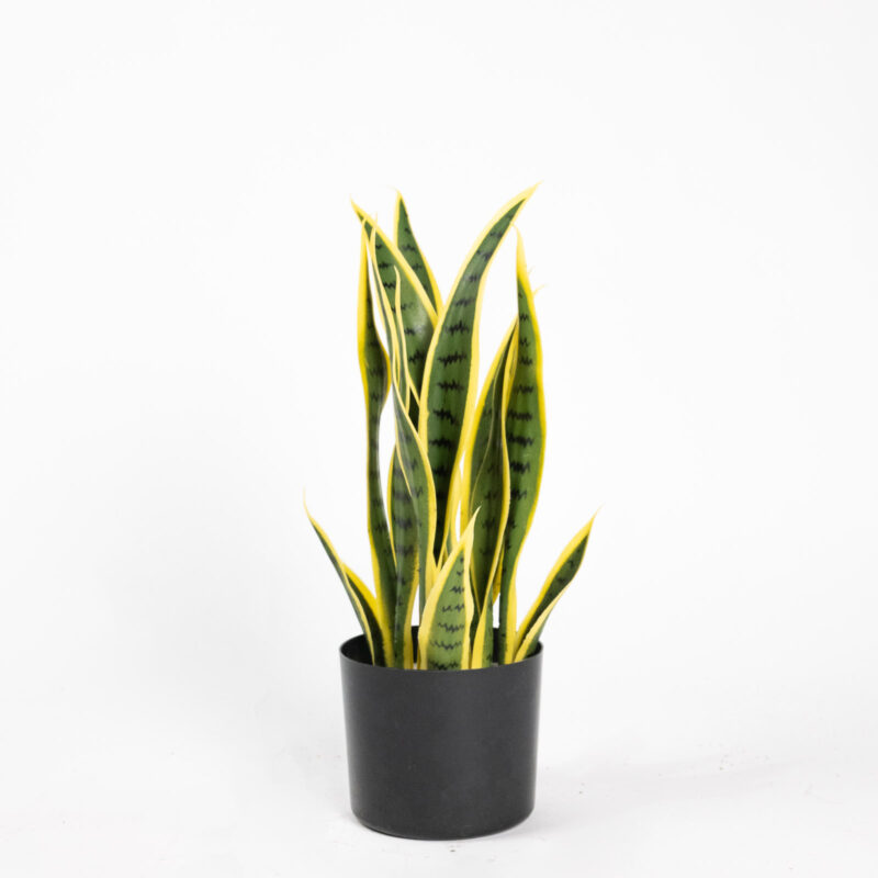 Supergreens Τεχνητό Φυτό Σανσεβιέρα Trifasciata Πράσινο 45 εκ.