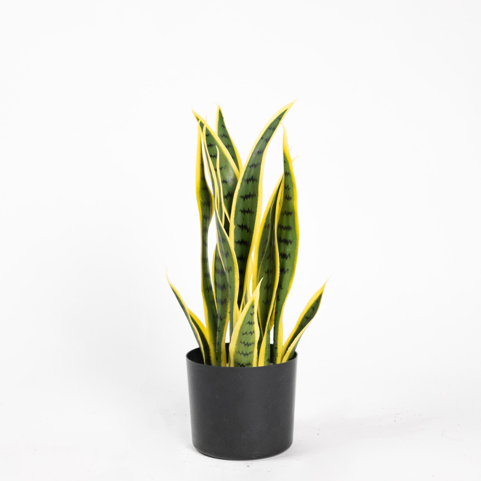 Supergreens Τεχνητό Φυτό Σανσεβιέρα Trifasciata Πράσινο 45 εκ. Supergreens Τεχνητό Φυτό Σανσεβιέρα Trifasciata Πράσινο 45 εκ.