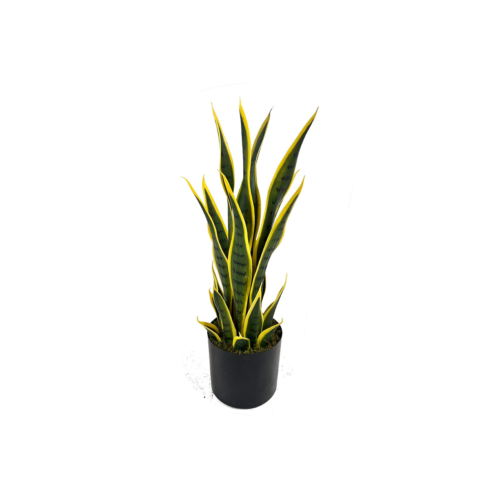 Supergreens Τεχνητό Φυτό Σανσεβιέρα Trifasciata Πράσινο 55 εκ. Supergreens Τεχνητό Φυτό Σανσεβιέρα Trifasciata Πράσινο 55 εκ.
