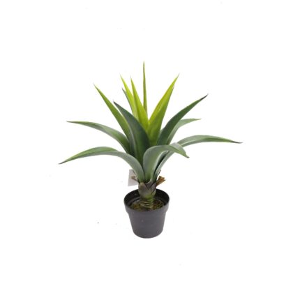 Supergreens Τεχνητό Φυτό Αγαύη "Agave" Πράσινο 66 εκ.