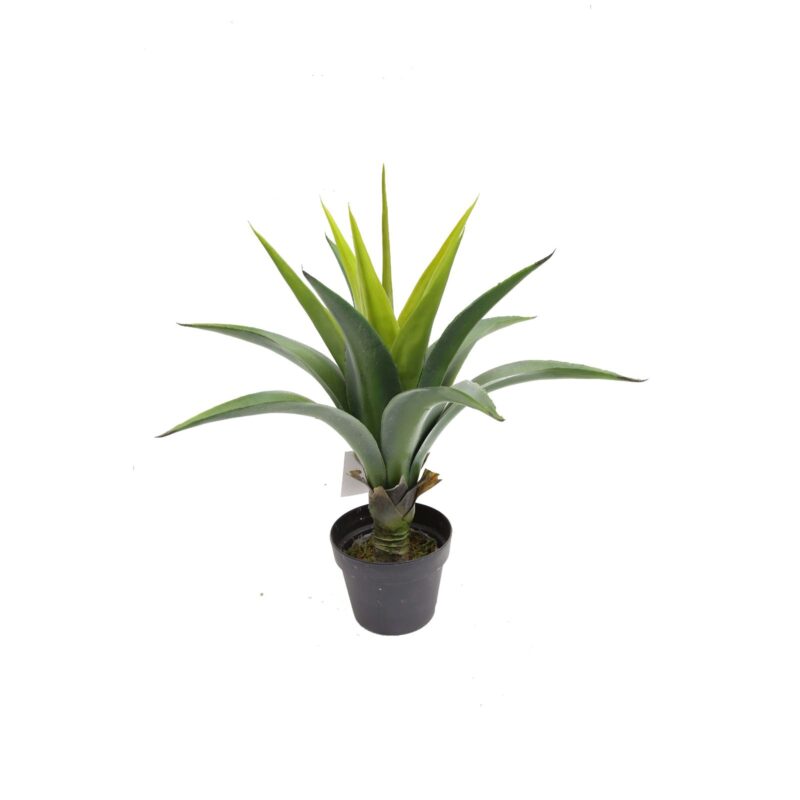 Supergreens Τεχνητό Φυτό Αγαύη "Agave" Πράσινο 66 εκ.