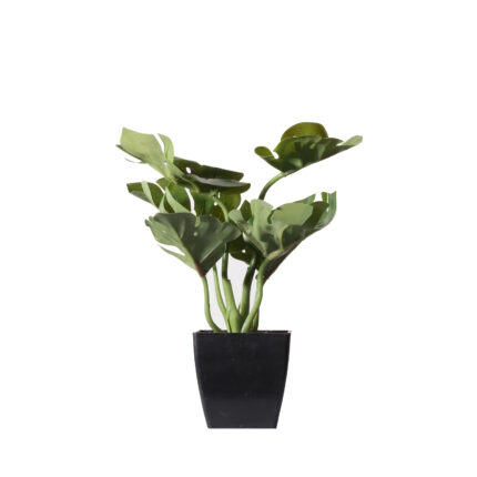 Supergreens Τεχνητό Φυτό Μονστέρα Deliciosa Πράσινο 22 εκ.