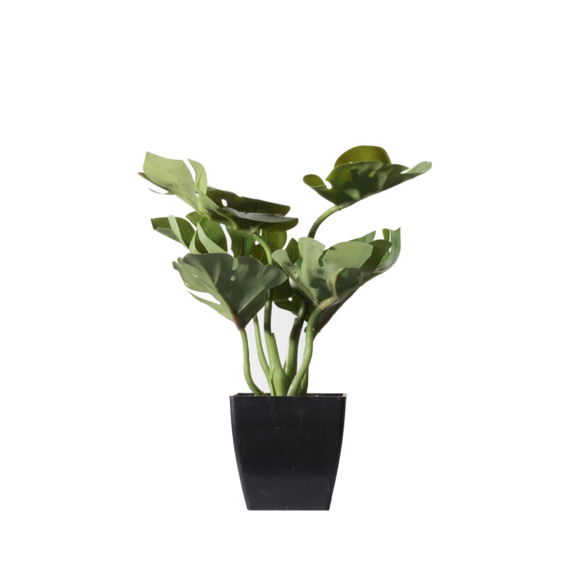 Supergreens Τεχνητό Φυτό Μονστέρα Deliciosa Πράσινο 22 εκ.