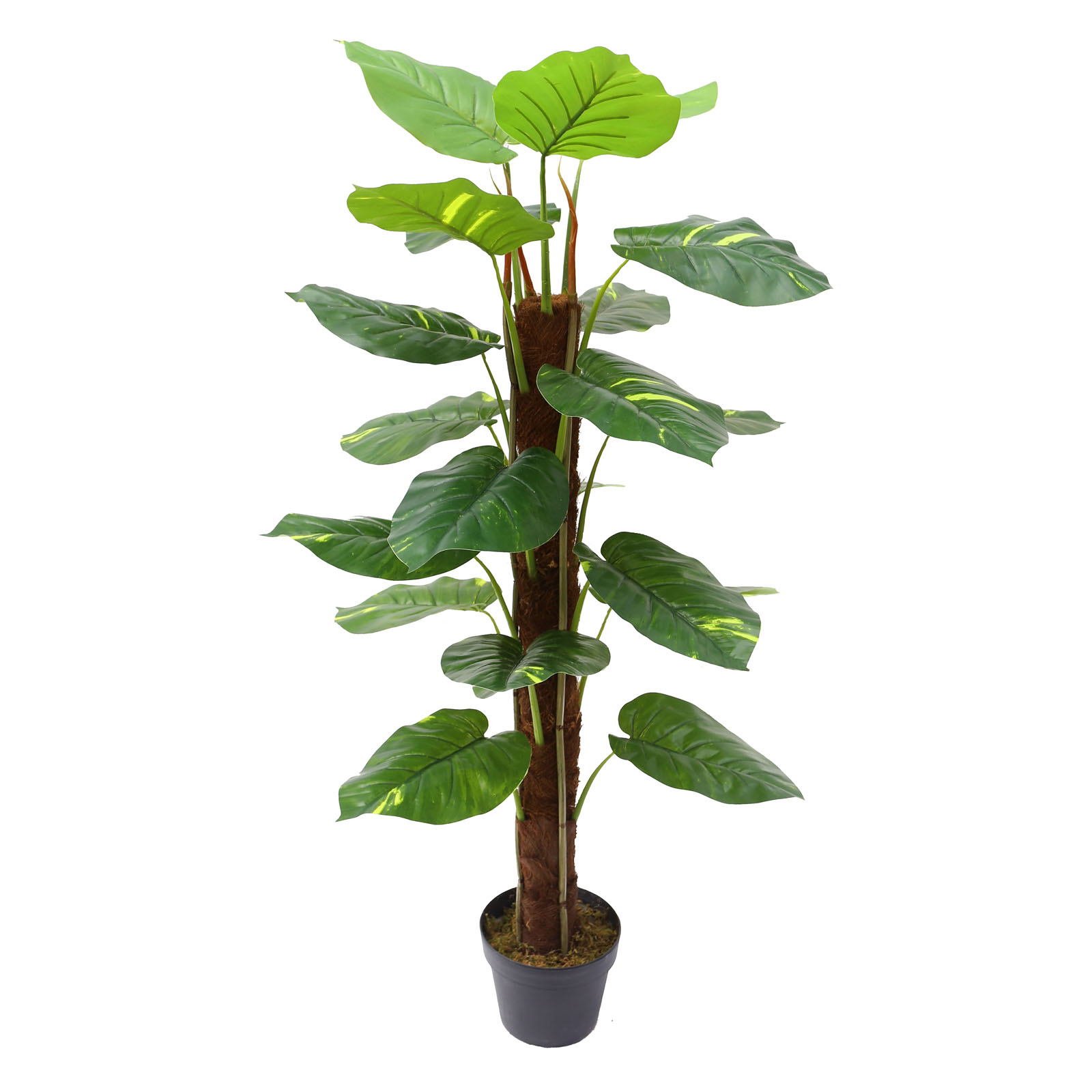 Supergreens Τεχνητό Δέντρο Χρυσός Πόθος Πράσινο 115 εκ. Supergreens Τεχνητό Δέντρο Χρυσός Πόθος Πράσινο 115 εκ.