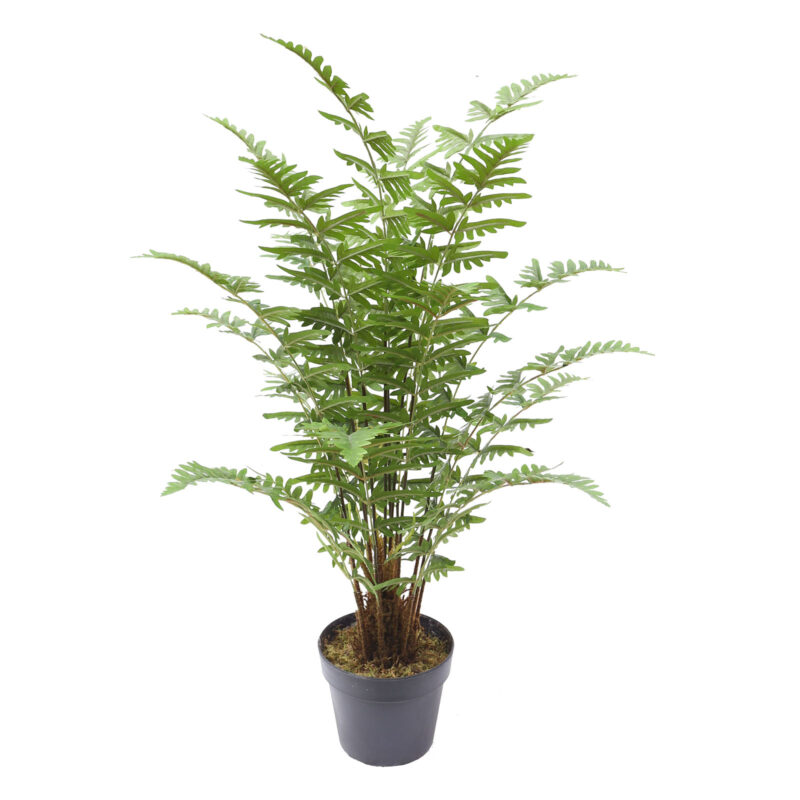 Supergreens Τεχνητό Φυτό Φτέρη Maidenhair Πράσινο 90 εκ.