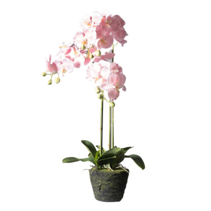 Supergreens Τεχνητό Φυτό Ορχιδέα Phalaenopsis Real Touch Ροζ με Βάση Moss 85 εκ.