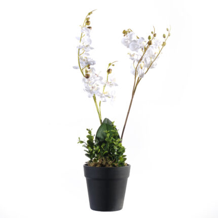 Supergreens Τεχνητό Φυτό Ορχιδέα Phalaenopsis Λευκό 50 εκ.