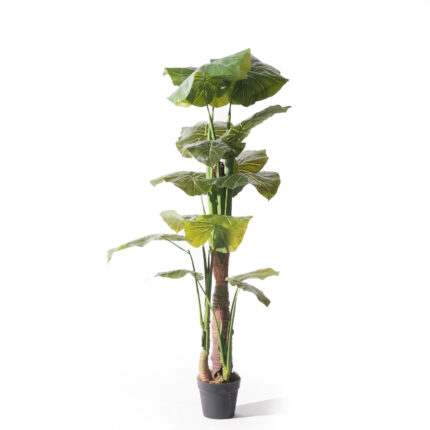 Supergreens Τεχνητό Δέντρο Αλοκάσια Elephant Ears Πράσινο 170 εκ.