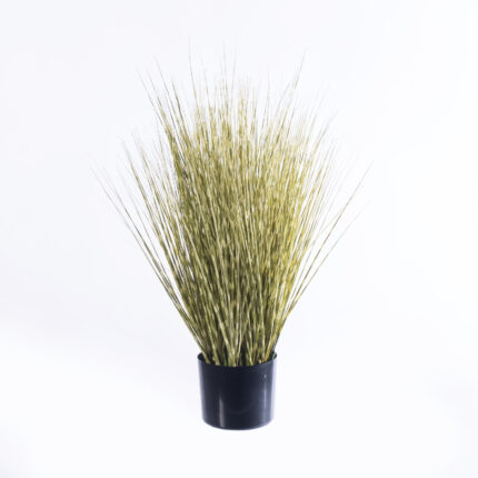 Supergreens Τεχνητό Φυτό Χορτάρι Γυνέριο "Reed" Πράσινο 70 εκ.