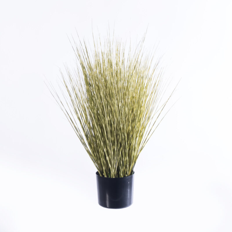 Supergreens Τεχνητό Φυτό Χορτάρι Γυνέριο "Reed" Πράσινο 70 εκ.