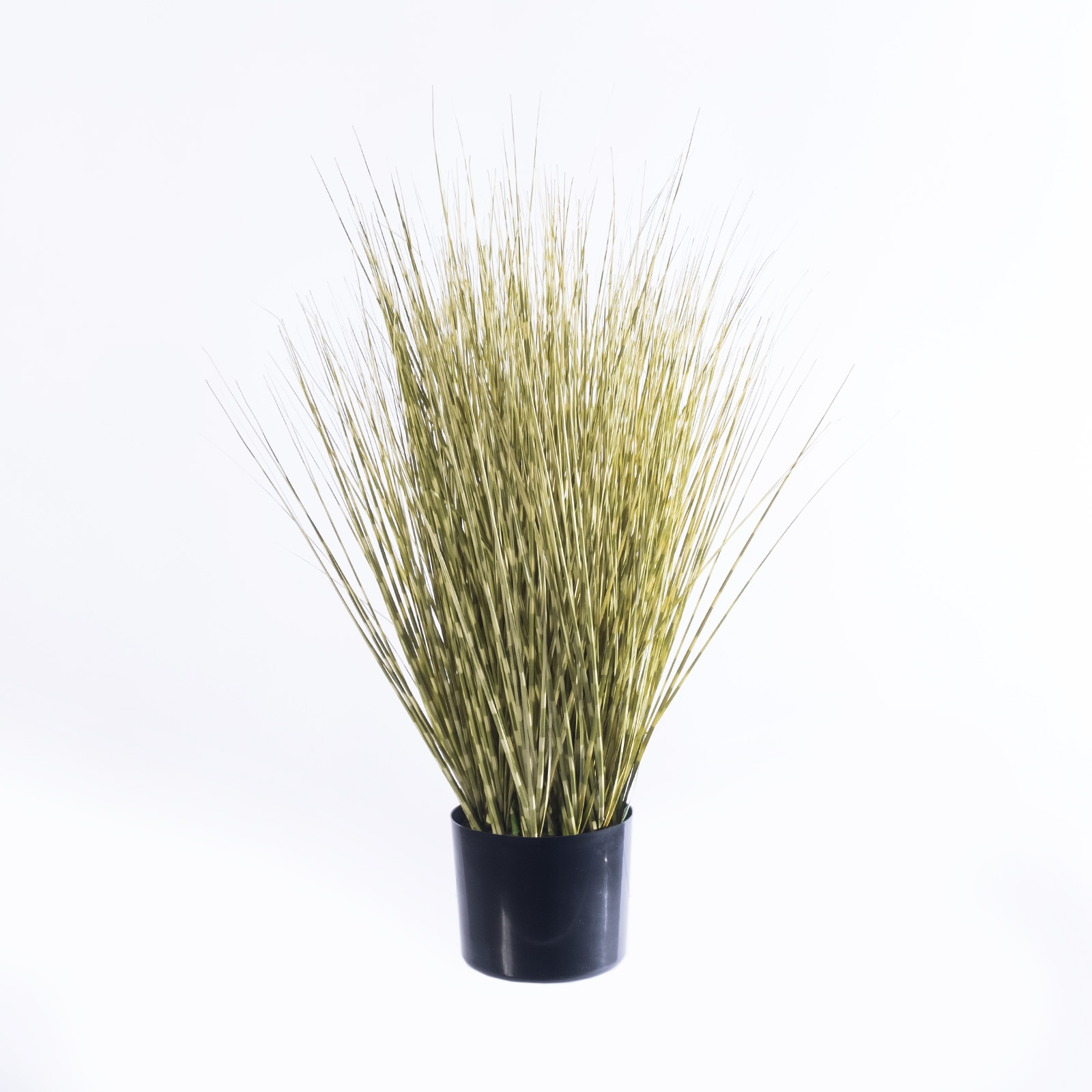 Supergreens Τεχνητό Φυτό Χορτάρι Γυνέριο "Reed" Πράσινο 70 εκ. Supergreens Τεχνητό Φυτό Χορτάρι Γυνέριο "Reed" Πράσινο 70 εκ.