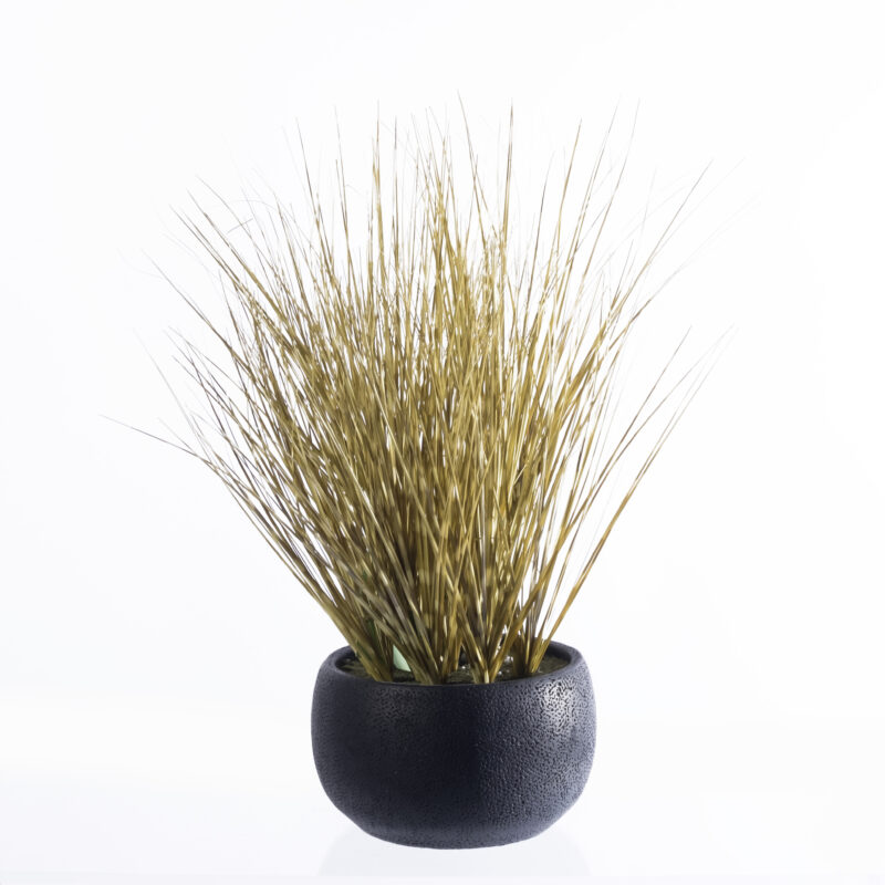 Supergreens Τεχνητό Φυτό Χορτάρι Εκουιζέτο "Horsetail" Πράσινο 53 εκ.