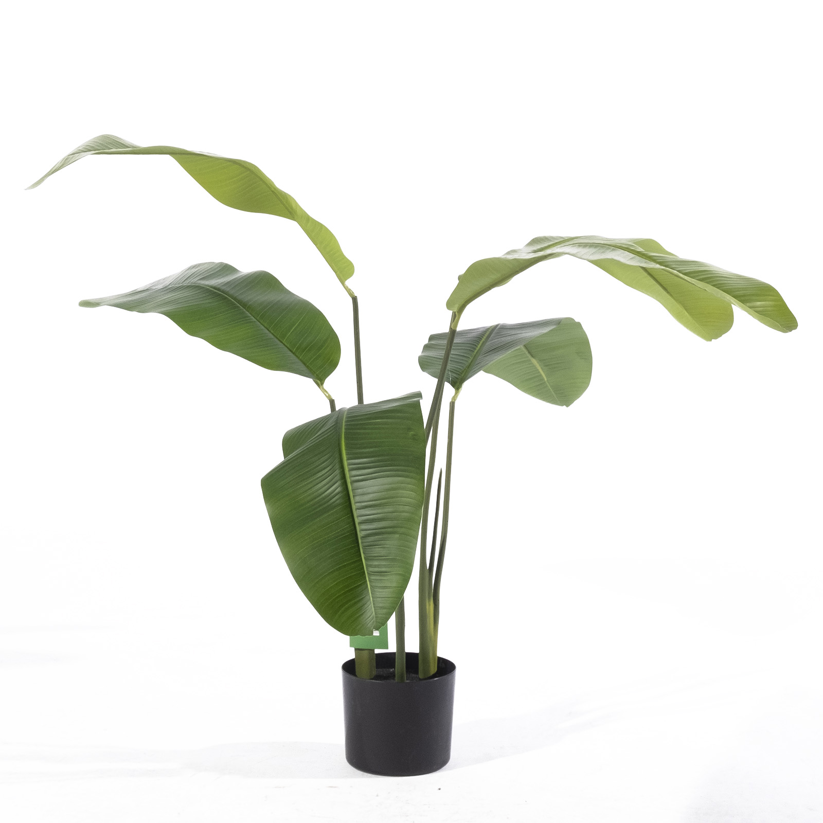 Supergreens Τεχνητο Δέντρο Πουλί του Παραδείσου "Strelitzia Nicolais" Πράσινο 120 εκ. Supergreens Τεχνητο Δέντρο Πουλί του Παραδείσου "Strelitzia Nicolais" Πράσινο 120 εκ.