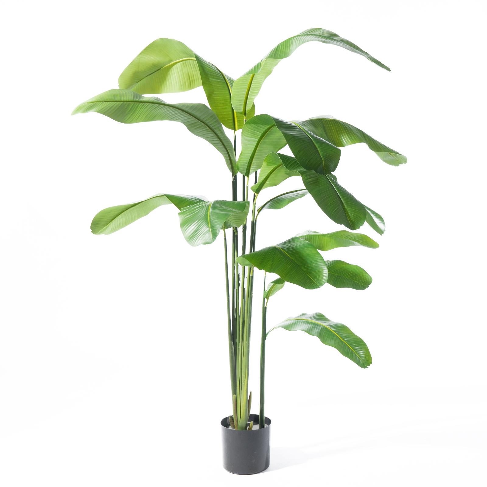Supergreens Τεχνητο Δέντρο Πουλί του Παραδείσου "Strelitzia Nicolais" Πράσινο 210 εκ. Supergreens Τεχνητο Δέντρο Πουλί του Παραδείσου "Strelitzia Nicolais" Πράσινο 210 εκ.