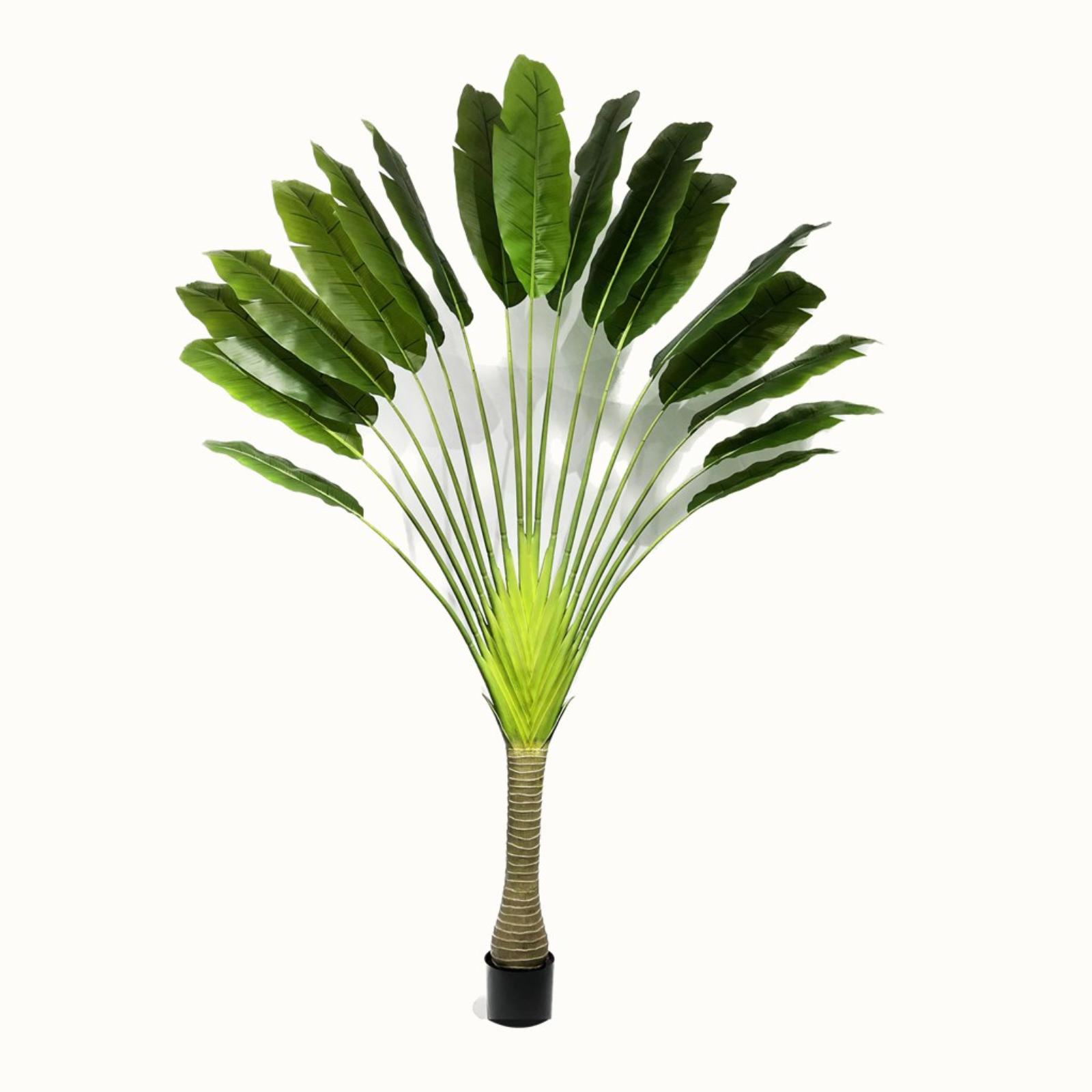 Supergreens Τεχνητό Δέντρο Πουλί του Παραδείσου "Strelitzia Ravenala" Πράσινο 320 εκ. Supergreens Τεχνητό Δέντρο Πουλί του Παραδείσου "Strelitzia Ravenala" Πράσινο 320 εκ.