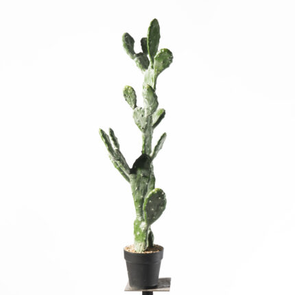 Supergreens Τενητό Φυτό Φραγκοσυκιά "Opuntia" 91