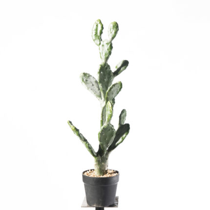 Supergreens Τενητό Φυτό Φραγκοσυκιά "Opuntia" 76 εκ.