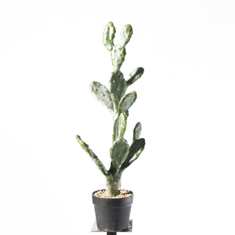 Supergreens Τενητό Φυτό Φραγκοσυκιά "Opuntia" 76 εκ.