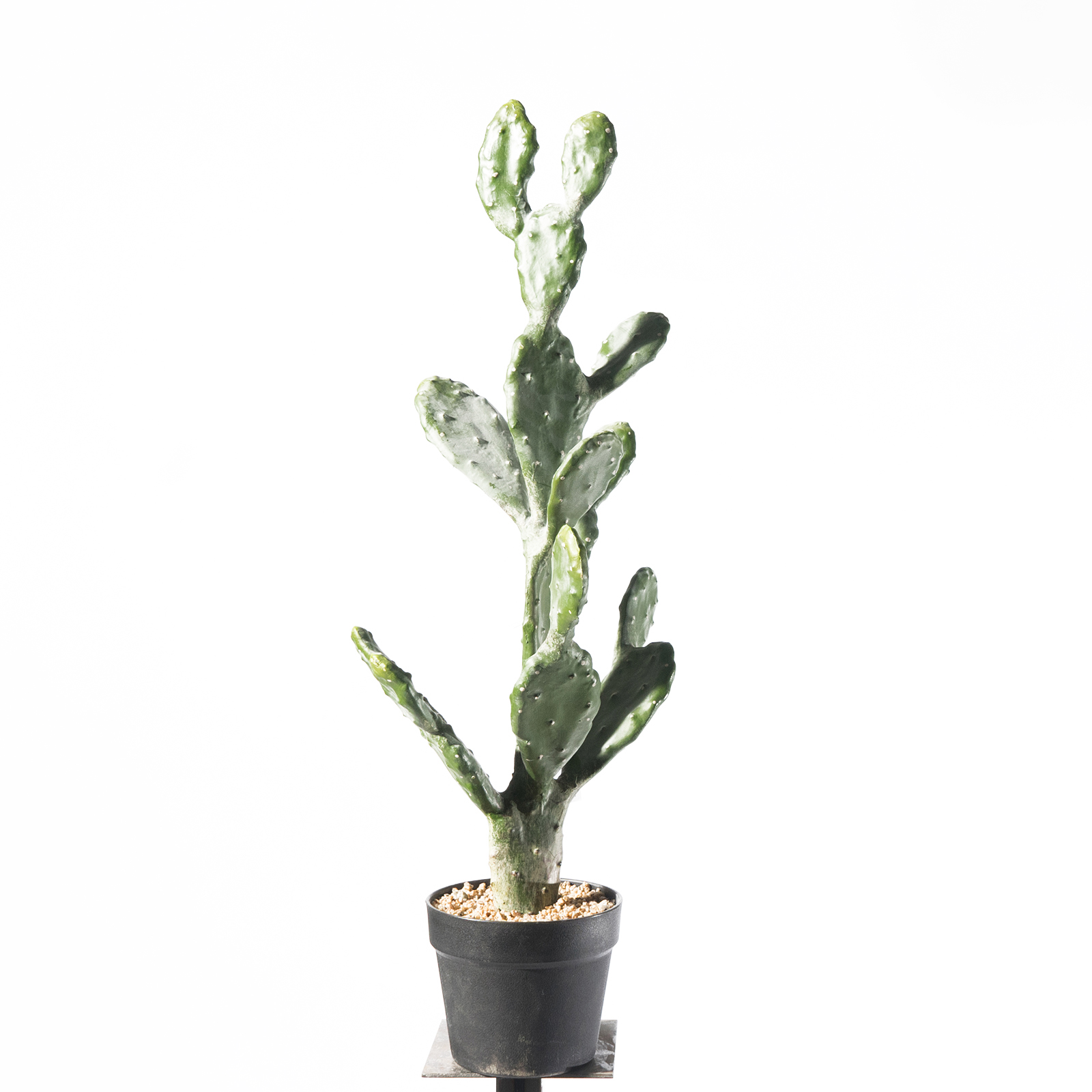 Supergreens Τενητό Φυτό Φραγκοσυκιά "Opuntia" 76 εκ. Supergreens Τενητό Φυτό Φραγκοσυκιά "Opuntia" 76 εκ.