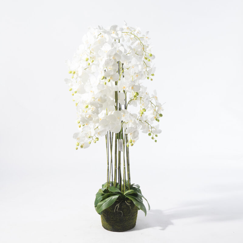 Supergreens Τεχνητό Φυτό Ορχιδέα Phalaenopsis Λευκό 153 εκ.