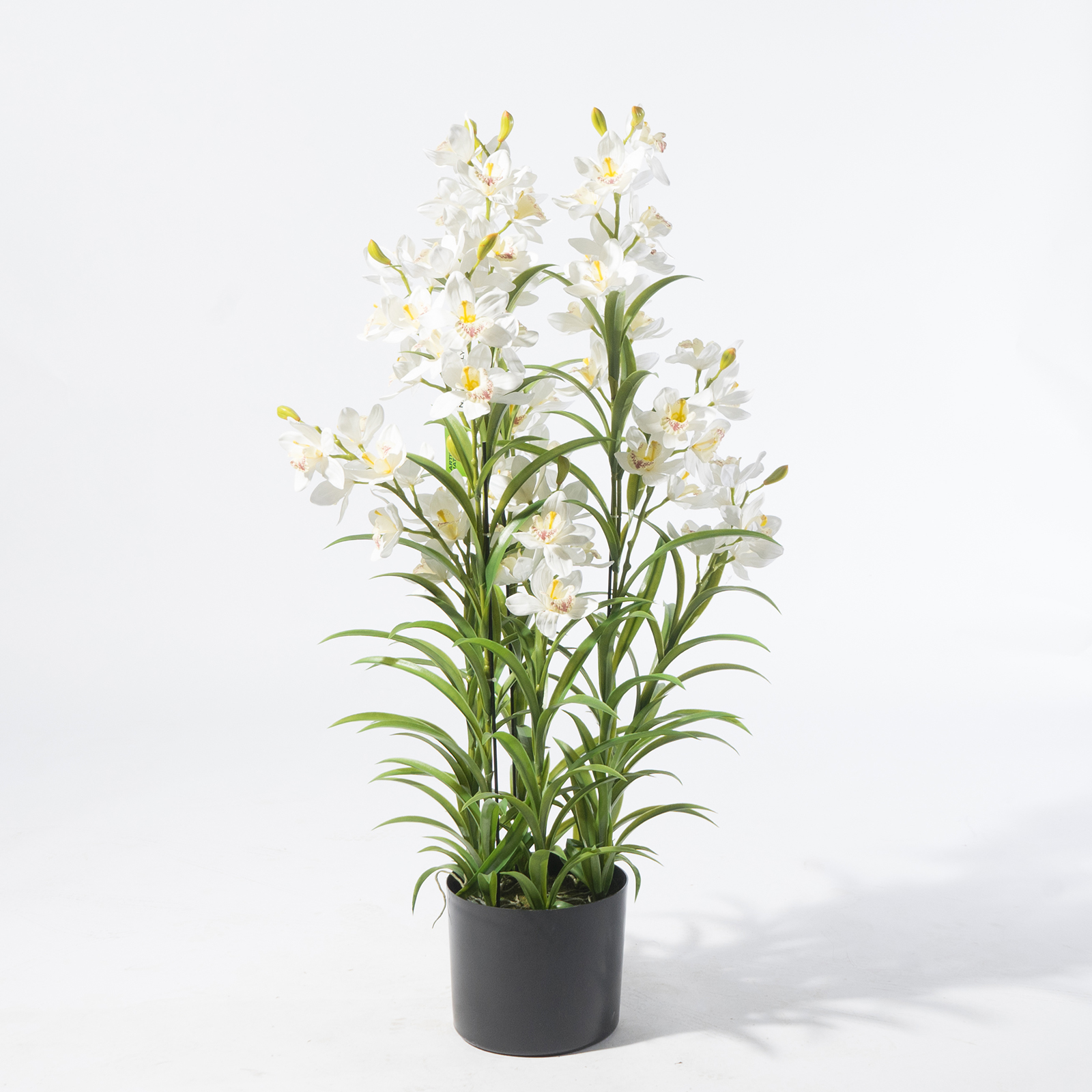 Supergreens Τεχνητό Φυτό Ορχιδέα "Cymbidium Orchid" Λευκό 125 εκ. Supergreens Τεχνητό Φυτό Ορχιδέα "Cymbidium Orchid" Λευκό 125 εκ.