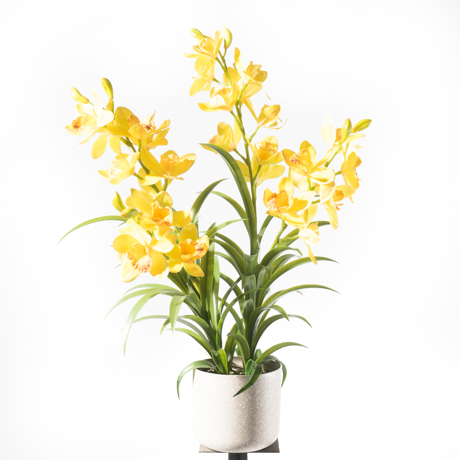Supergreens Τεχνητό Φυτό Ορχιδέα "Cymbidium Orchid" Κίτρινο 80 εκ. Supergreens Τεχνητό Φυτό Ορχιδέα "Cymbidium Orchid" Κίτρινο 80 εκ.