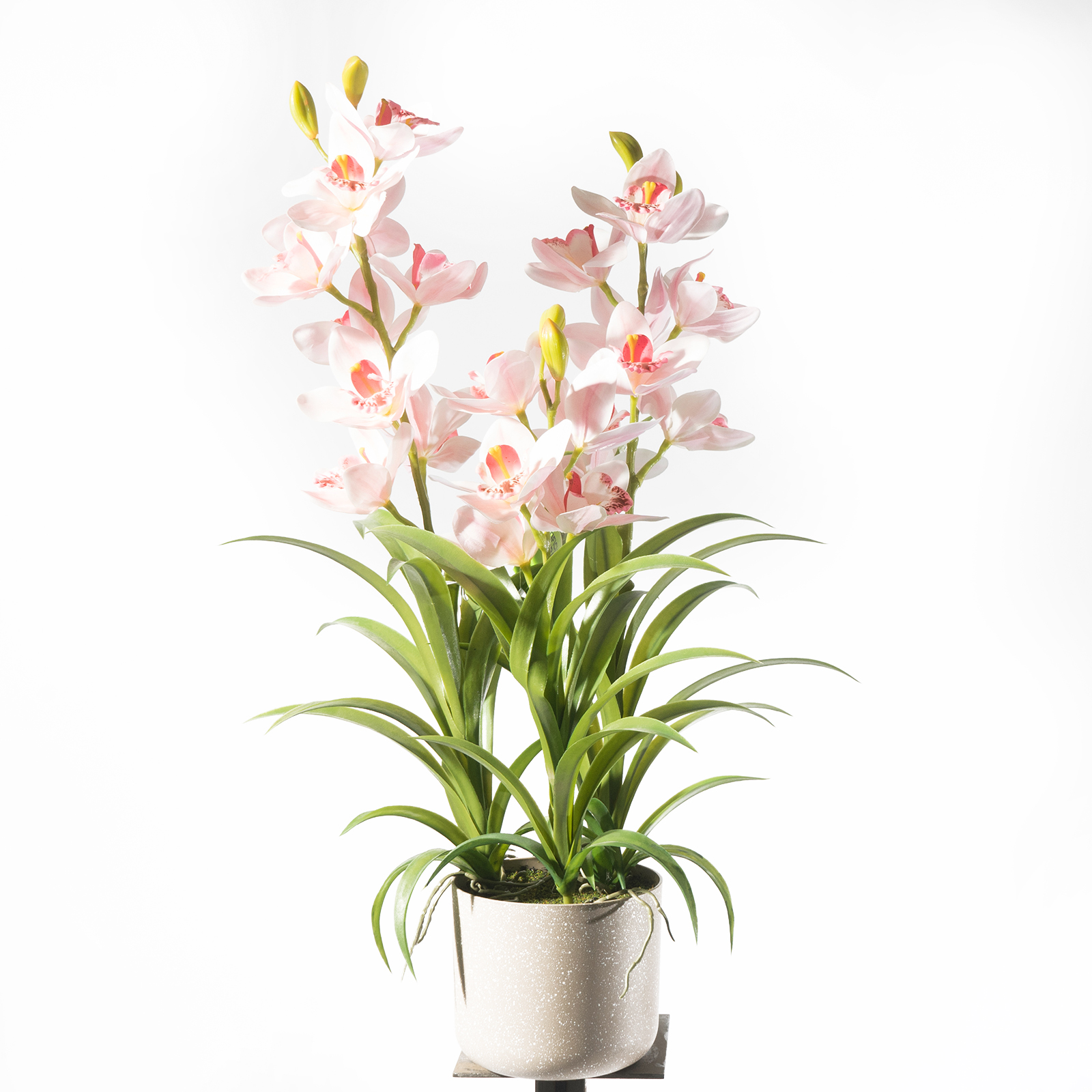 Supergreens Τεχνητό Φυτό Ορχιδέα "Cymbidium Orchid" Ροζ 70 εκ. Supergreens Τεχνητό Φυτό Ορχιδέα "Cymbidium Orchid" Ροζ 70 εκ.