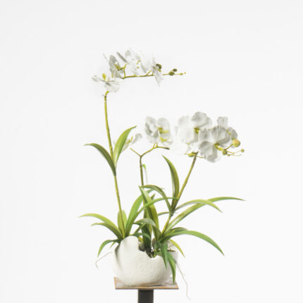 Supergreens Τεχνητό Φυτό Ορχιδέα Phalaenopsis Λευκό 57 εκ.