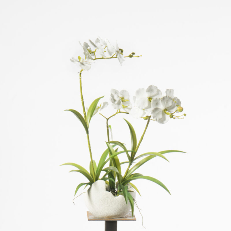 Supergreens Τεχνητό Φυτό Ορχιδέα Phalaenopsis Λευκό 57 εκ.