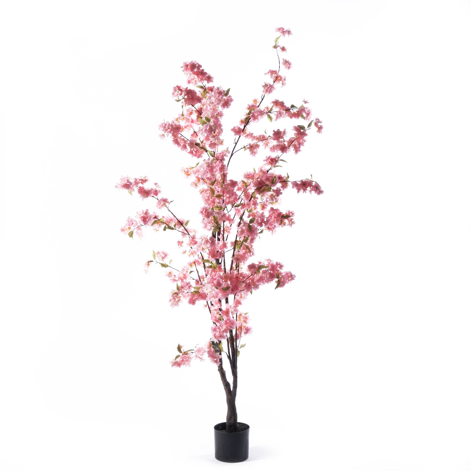 Supergreens Τεχνητό Δέντρο Κερασιά "Prunus" 80x80x170 εκ. Supergreens Τεχνητό Δέντρο Κερασιά "Prunus" 80x80x170 εκ.