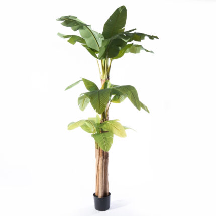 Supergreens Τεχνητό Δέντρο Μπανανιά "Musa" Πράσινο 170x160x280 εκ.