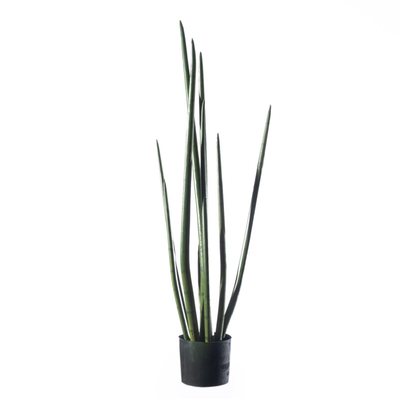 Supergreens Τεχνητό Φυτό Σανσεβιέρα "Cylindrica" Πράσινο 22x26x105 εκ.