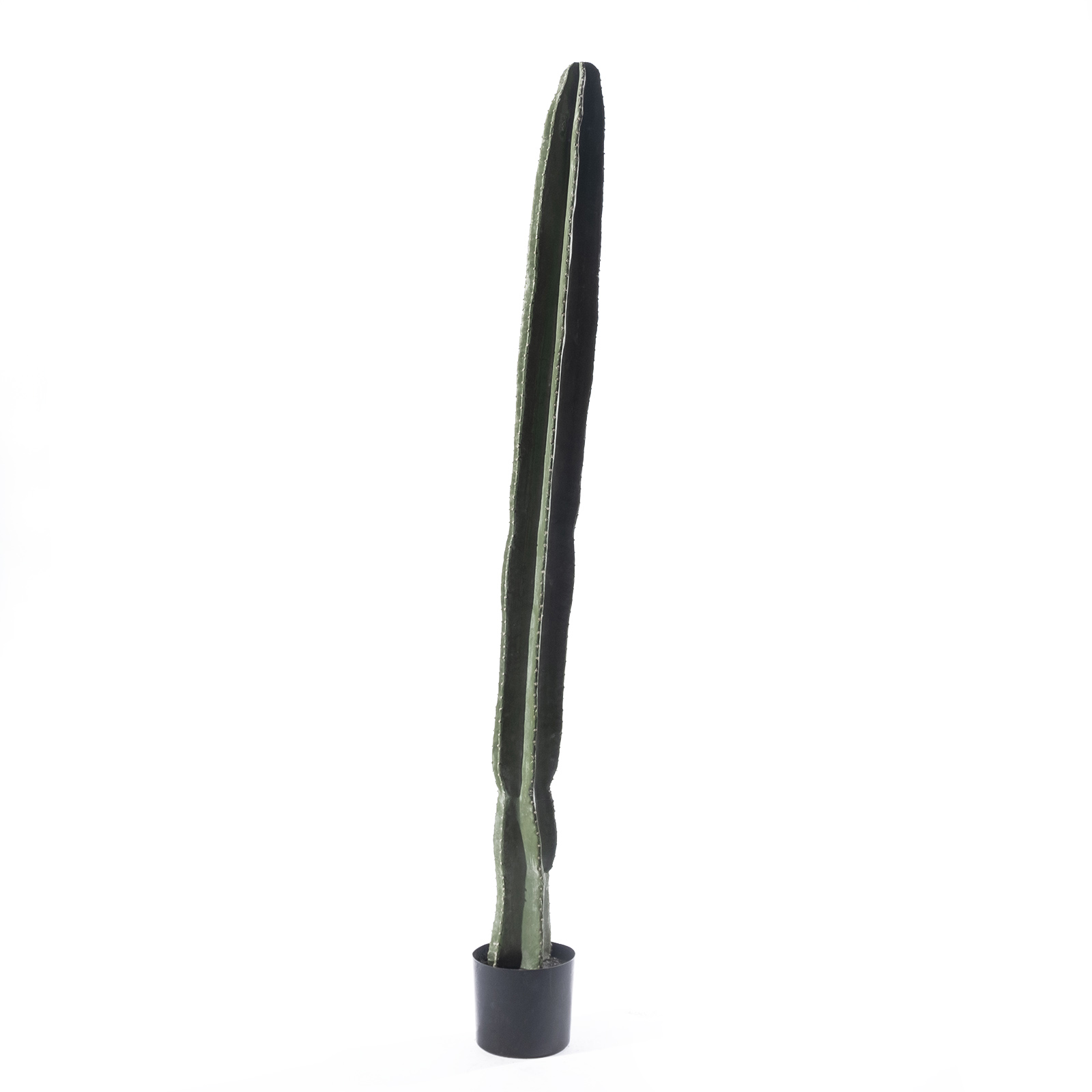 Supergreens Τεχνητός Κάκτος "Euphorbia" Πράσινος 14x12x185 εκ. Supergreens Τεχνητός Κάκτος "Euphorbia" Πράσινος 14x12x185 εκ.