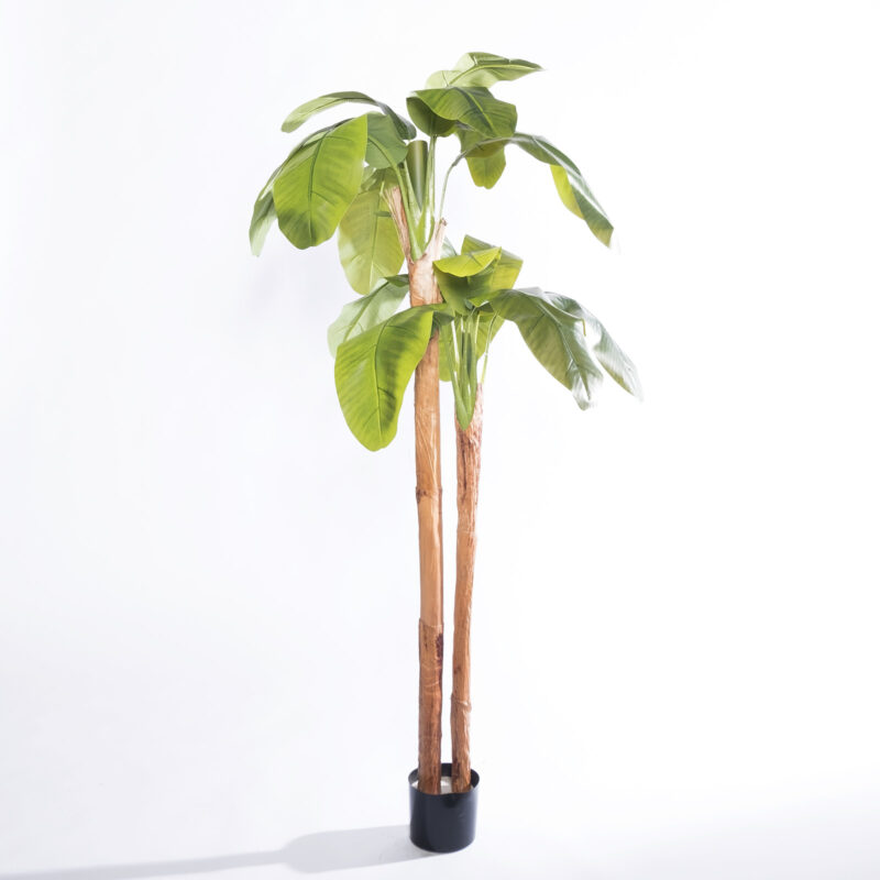 Supergreens Τεχνητό Δέντρο Μπανανιά "Musa Arbor" με Διπλό Κορμό Πράσινο 200 εκ.