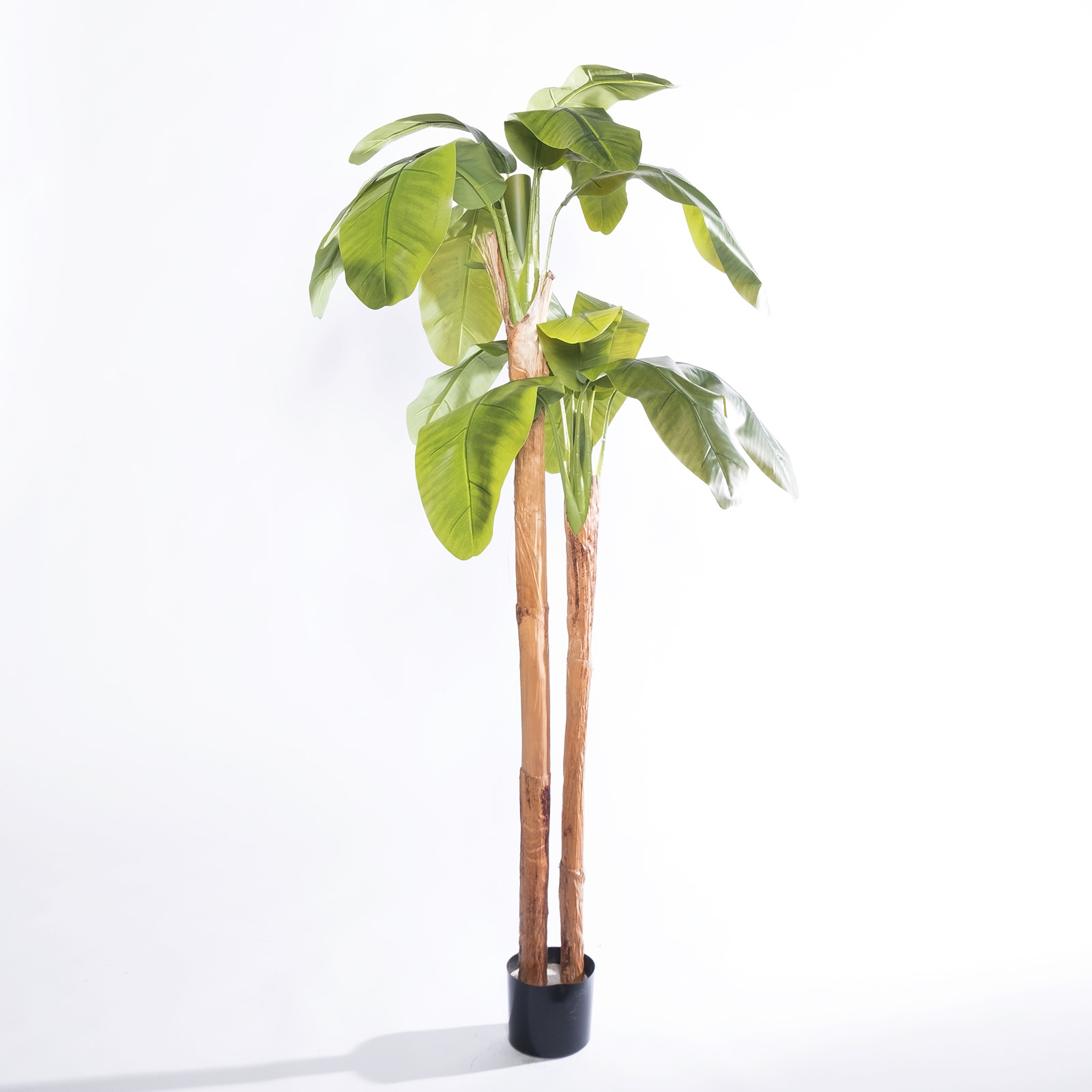 Supergreens Τεχνητό Δέντρο Μπανανιά "Musa Arbor" με Διπλό Κορμό Πράσινο 200 εκ. Supergreens Τεχνητό Δέντρο Μπανανιά "Musa Arbor" με Διπλό Κορμό Πράσινο 200 εκ.