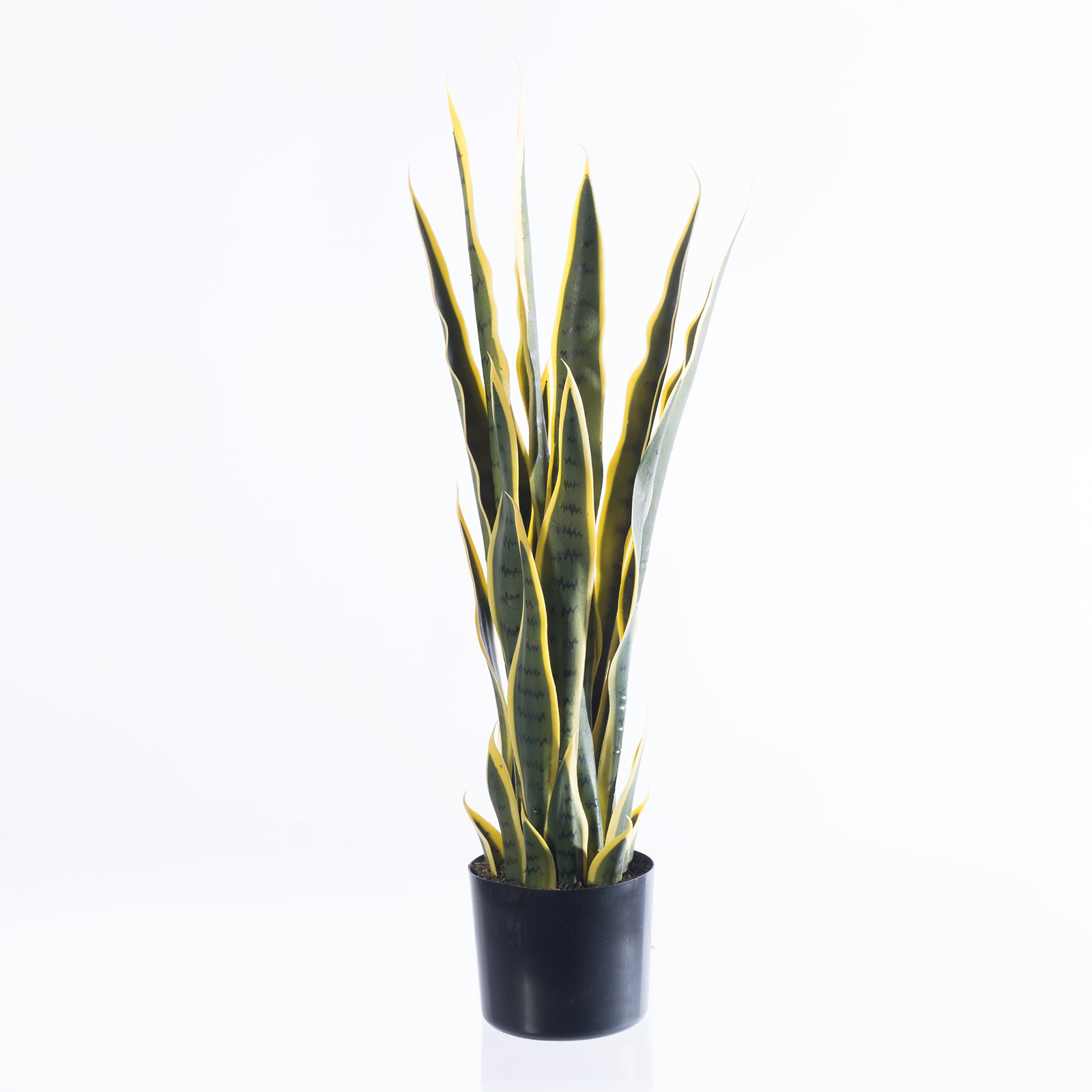 Supergreens Τεχνητό Φυτό Σανσεβιέρα Trifasciata Πράσινο 75 εκ. Supergreens Τεχνητό Φυτό Σανσεβιέρα Trifasciata Πράσινο 75 εκ.