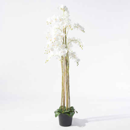 Supergreens Τεχνητό Φυτό Ορχιδέα Phalaenopsis Λευκό 180 εκ.