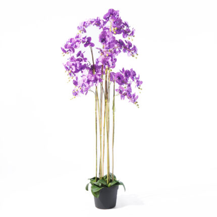 Supergreens Τεχνητό Φυτό Ορχιδέα Phalaenopsis Μωβ 180 εκ.