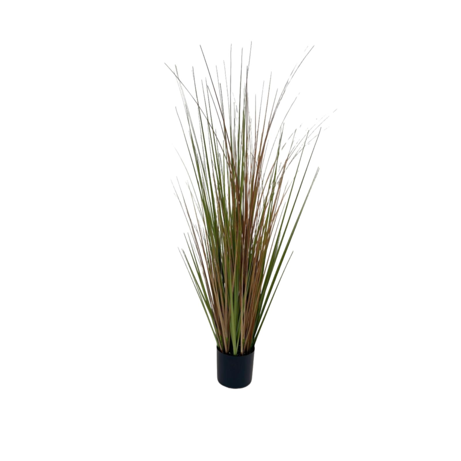 Supergreens Τεχνητό Φυτό Χορτάρι "Onion Festuca" Πράσινο 120 εκ. Supergreens Τεχνητό Φυτό Χορτάρι "Onion Festuca" Πράσινο 120 εκ.