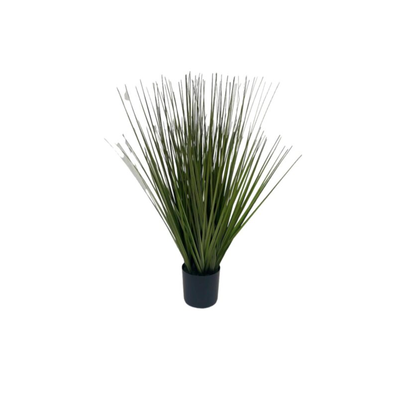 Supergreens Τεχνητό Φυτό  Χορτάρι "Onion Arundo" Πράσινο 70 εκ.