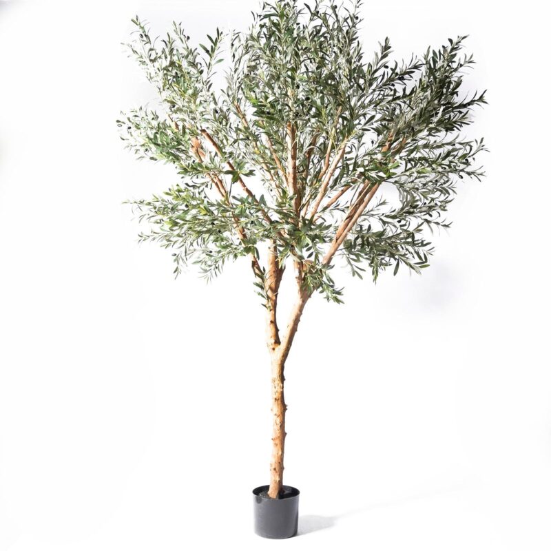 Supergreens Τεχνητό Δέντρο Ελιά ''Natural'' Πράσινη 280 εκ.