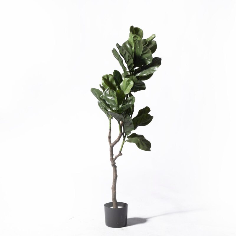 Supergreens UV+FR Τεχνητό Δέντρο Φίκος Λυράτα Πράσινο 120 εκ.