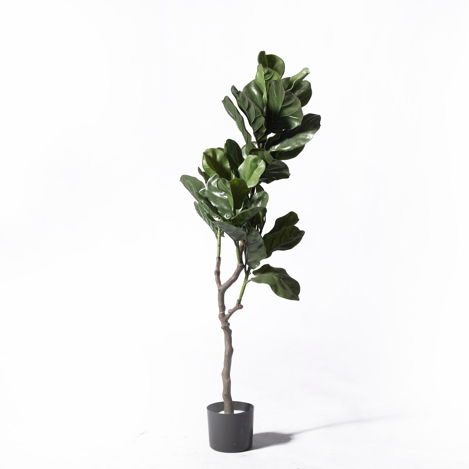 Supergreens UV+FR Τεχνητό Δέντρο Φίκος Λυράτα Πράσινο 120 εκ. Supergreens UV+FR Τεχνητό Δέντρο Φίκος Λυράτα Πράσινο 120 εκ.