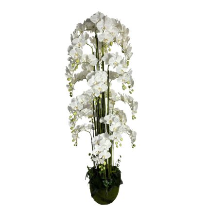 Supergreens Τεχνητό Φυτό Ορχιδέα "Phalaenopsis" Real Touch με Moss Βάση Λευκό 180 εκ.