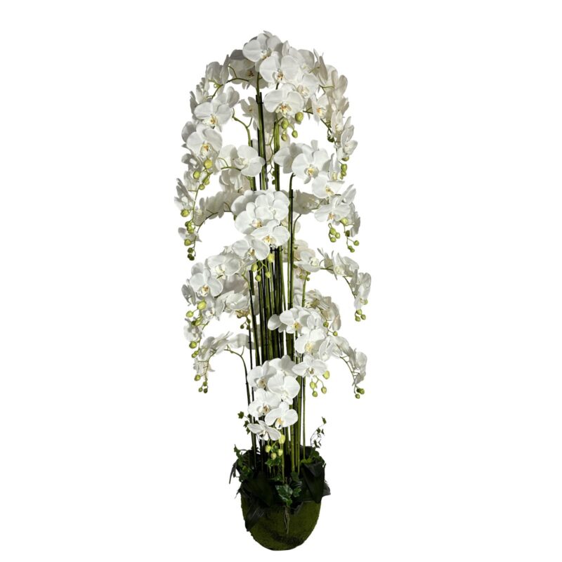 Supergreens Τεχνητό Φυτό Ορχιδέα "Phalaenopsis" Real Touch με Moss Βάση Λευκό 180 εκ.