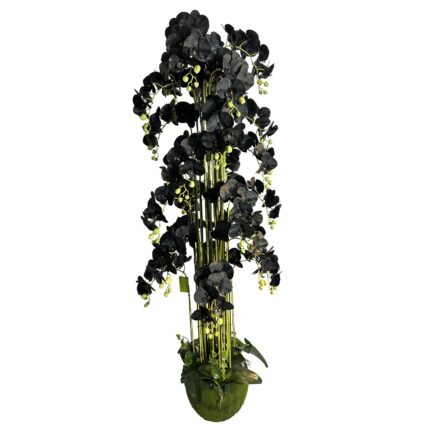 Supergreens Τεχνητό Φυτό Ορχιδέα "Phalaenopsis" Real Touch με Moss Βάση Μαύρο 180 εκ.