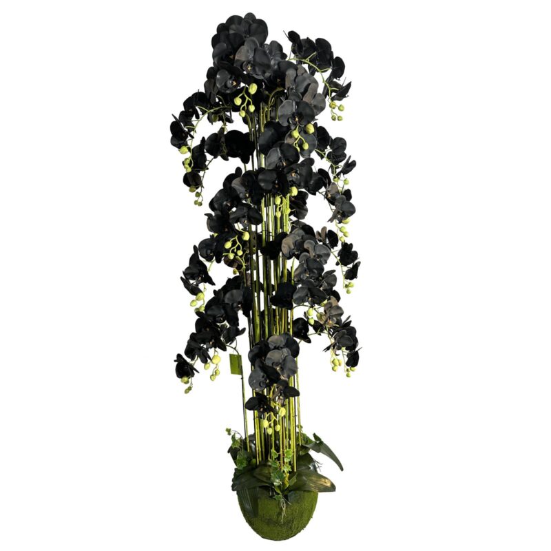 Supergreens Τεχνητό Φυτό Ορχιδέα "Phalaenopsis" Real Touch με Moss Βάση Μαύρο 180 εκ.