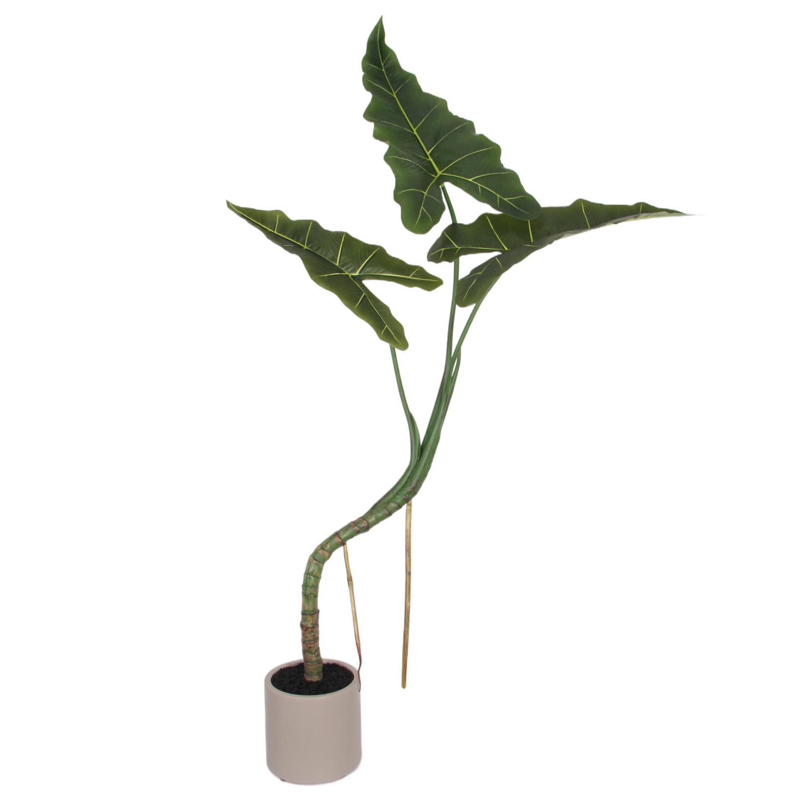 Supergreens Τεχνητό Φυτό Αλοκάσια "Veloura" Πράσινο 120 εκ. Supergreens Τεχνητό Φυτό Αλοκάσια "Veloura" Πράσινο 120 εκ.