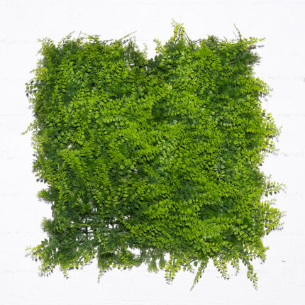 Supergreens Τεχνητή Φυλλωσιά Φτέρη "Classic" 50x50 εκ.