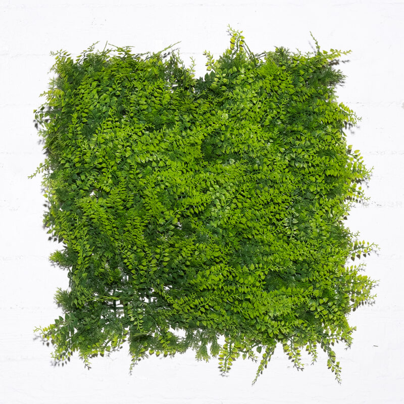 Supergreens Τεχνητή Φυλλωσιά Φτέρη "Classic" 50x50 εκ.